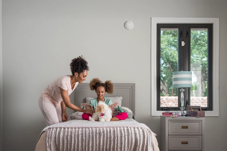 smoke & carbon detector Phoenix